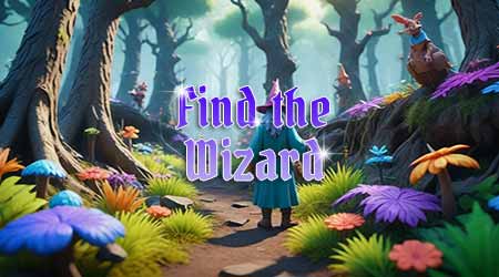 Find the Wizard